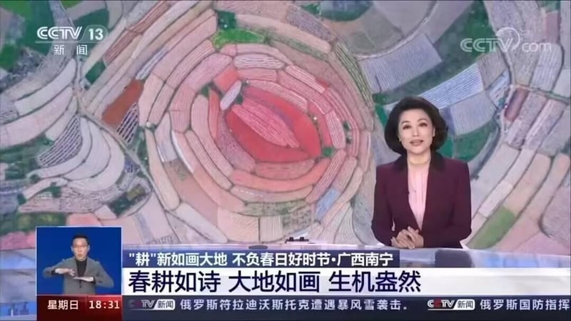 新闻主播