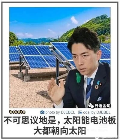 这是一张经过P图改编的搞笑梗图，将日本政客小泉进次郎的形象合成到户外安装有太阳能电池板的场景中。图中人物表情严肃，手部抬起，仿佛正在郑重地发表言论，而图片底部的配文“不可思议地是，太阳能电池板大都朝向太阳”则是典型的废话文学内容——用一本正经的语气陈述一个太阳能板工作的基本常识，形成强烈的反差感，制造出荒诞搞笑的效果。图片带有多处水印和标注，右下角是“日语金句”标识，底部还有“bokete”“photo by DJEBEL”“odai by DJEBEL”的字样，表明其创作来源和素材信息。