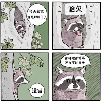 四格漫画描绘了一只浣熊在树洞里的生活片段。第一格中浣熊从树洞探出头说"今天感觉像是那种日子"；第二格浣熊打了个大哈欠；第三格浣熊从树洞里向外张望说"没错"；第四格特写浣熊的脸，说出"那种啥都他妈不在乎的日子"。整体风格轻松幽默，表达了一种慵懒、无所谓的生活态度。
