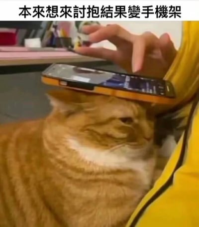 图片中一只橘猫正趴在地上，头部被一部智能手机稳稳压住，手机由一只穿着黄色衣袖的手托着，形成了一个天然的“猫式手机支架”。猫咪表情平静，眼神略带无奈，仿佛接受了这意外的“新角色”。上方配有传统中文字幕“本來想來討抱結果變手機架”，幽默地描述了猫咪本想求抱抱，却意外成为手机支架的反差场景。背景中隐约可见桌面和一些物品，整体氛围轻松搞笑，展现了宠物与主人日常互动中的趣味瞬间。