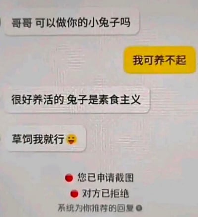 图片展现了一段微信或类似社交平台上的表白聊天：女生撒娇说“可以做你的小兔子吗”，男生回复“我可养不起”。女生接着用“兔子是素食主义”“草饲我就行”继续暗示。结尾处，系统智能回复显示“您已申请截图”、“对方已拒绝”，带搞笑和尴尬气息，暗示女生表白失败，内容玩梗，有‘小兔子’恋爱暗语和草饲、素食等理念相关的双关。