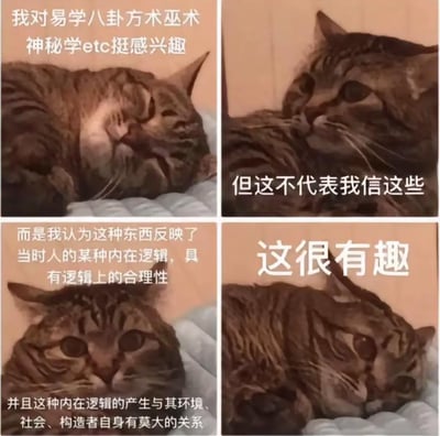 这是一张四格拼接的图文梗图，每一格都搭配了同一只狸花猫躺卧的不同神态以及对应的配文：第一格配文“我对易学八卦方术巫术神秘学etc挺感兴趣”，搭配眯眼瘫卧、神态放松的狸花猫；第二格配文“但这不代表我信这些”，搭配侧头神情淡然的狸花猫；第三格配文“而是我认为这种东西反映了当时人的某种内在逻辑，具有逻辑上的合理性，并且这种内在逻辑的产生与其环境、社会、构造者自身有莫大的关系”，搭配睁大眼睛、神情认真的狸花猫；第四格配文“这很有趣”，搭配恢复慵懒躺卧状态的狸花猫。该图精准描述了很多中文互联网用户对易学、神秘学、MBTI十六型人格这类分类测试内容的普遍心态：并不迷信内容本身的准确性，而是对这类内容背后体现的社会心理、对应群体的思维逻辑感兴趣，将其作为一种观察社会和人群的趣味素材。