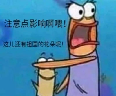 这是一张来自《海绵宝宝》动画的截图改编梗图。画面中章鱼哥表情夸张，瞪大眼睛张大嘴巴，似乎在大声警告，而海绵宝宝则在他下方露出半个身子，表情略显担忧。图片上添加了中文文字："注意点影响啊喂！这儿还有祖国的花朵呢！"，通常用于幽默地提醒他人注意言行举止，尤其是在有未成年人在场的情况下。