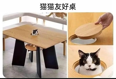 这是一张多图拼接的创意家具展示图，核心是一款专为养猫家庭设计的「猫猫友好桌」。主图中，一只黑白花色的猫咪从桌面的圆形孔洞里探出脑袋，它的身体待在桌子下方配套的小平台上，前爪搭在平台边缘；右上角的小图展示了桌面孔洞的木质可开合盖子，一只手正拿起盖子，露出下方的中空结构；右下角的小图是这只黑白猫咪从孔洞探出头的特写，它睁着圆溜溜的眼睛，表情好奇又呆萌；背景里还有一只橘白花色的猫咪在长椅上走动。这款桌子的设计巧妙结合了人类使用需求与猫咪的习性，既可以作为正常餐桌使用，又给猫咪提供了可以钻洞、休息，还能和桌面的人互动的空间，充满趣味性与实用性。