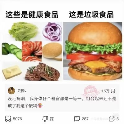 这是一张社交媒体评论截图类梗图。画面上半部分采用左右对比结构：左边写着“这些是健康食品”，下面分别摆放生菜、紫洋葱、黄瓜、番茄或培根、汉堡面包、黄油/芝士以及牛排等单独食材；右边写着“这是垃圾食品”，下面是一个把面包、蔬菜、芝士、培根和肉饼等组合在一起的汉堡。笑点在于：单独看起来都比较健康或正常的食材，一旦被组合成汉堡，就被贴上“垃圾食品”的标签。下方网友“只因v”借题发挥，评论说自己身体各个器官都是一等一，但组合起来却成了“废物”，用食物组合的逻辑自嘲个人状态，形成荒诞又扎心的共鸣。截图还显示该评论获得1.5万点赞，底部另有5076个赞、287条评论和6次转发。