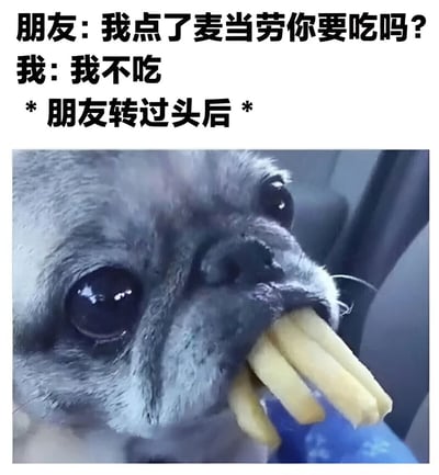 这张梗图上方是对话文字："朋友：我点了麦当劳你要吃吗？我：我不吃 *朋友转过头后*"，下方是一张小狗（看起来像巴哥犬）嘴里叼着几根薯条的照片。图片通过对比嘴上说不吃和实际偷吃的行为，幽默地表现了人们口是心非的有趣场景。