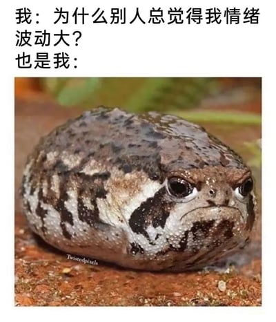 这是一张幽默的自嘲类图文表情包，上方文字分为两个部分：第一部分以“我”的视角发出疑惑——“为什么别人总觉得我情绪波动大？”，表现出对他人评价的不解；第二部分“也是我：”引出下方的散疣短头蛙实拍图。图中的散疣短头蛙眉头紧皱、嘴角下撇，满脸不悦的臭脸神态，完美对应了“情绪波动大”的外在表现，用反差感拉满的方式，生动自嘲了人们嘴上疑惑他人评价，实际情绪早已写在脸上却不自知的日常状态，十分贴近生活，容易引发共鸣。