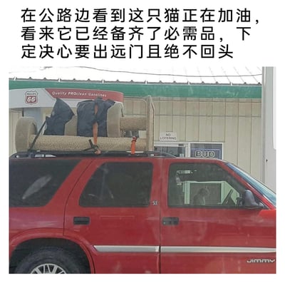 这是一张在Phillips 66加油站拍摄的趣味照片，红色的JIMMY SLE款SUV停在站内加油，车顶行李架上固定着一个猫爬架，还绑着行李，车内驾驶座位置有一只猫，仿佛是这台车的“司机”。搭配的文字以拟人化的口吻调侃，称这只猫像是备齐了自己的必需品，下定决心要开车出远门不再回头，制造出充满趣味的搞笑效果。