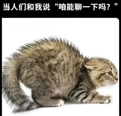 图片上方有文字“当人们和我说起‘咱能聊一下吗？’”，下方是一只毛发全部炸开、身体紧绷弓起的狸花猫。猫咪眼神警惕，尾巴蓬松，呈现出明显的防御姿态，生动展现了社恐人群或不喜社交者在面对他人主动搭话时的内心抗拒与紧张情绪，画面幽默又真实。