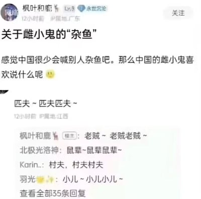 这是一张二次元社区的社交媒体截图，用户“枫叶和鹿”作为楼主发起趣味讨论：日式二次元人设“雌小鬼”常以“杂鱼”称呼他人，好奇中式语境下的雌小鬼会使用什么词汇。随后有匿名网友回复“匹夫 ~ 匹夫匹夫 ~”，楼主及其他网友也纷纷模仿雌小鬼娇嗔毒舌的语气，给出“老贼”“鼠辈”“村夫”“小儿”这类带有古风色彩、略带贬义又符合人设娇嗔感的词汇，形成了充满趣味的本土化人设语言改编互动。