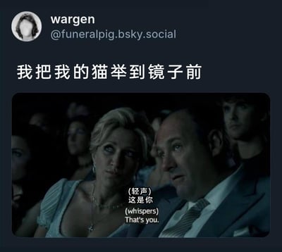 这是一张发布在Bluesky平台的搞笑梗图，发布者账号为wargen（@funeralpig.bsky.social）。上方文案为“我把我的猫举到镜子前”，下方搭配美剧《黑道家族》的截图，截图中女性角色侧身对着身边男性轻声说“这是你”，用这个场景来模拟主人把猫举到镜子前时，一本正经地和猫说话的样子，利用猫无法理解镜子中自己的常识，营造出反差搞笑的效果，同时影视截图的严肃场景和宠物主题的结合也增强了趣味性。