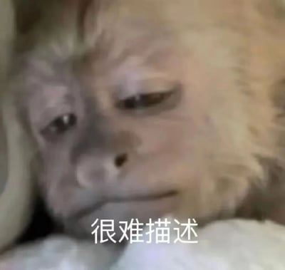 这是一张近距离拍摄的浅色小猴子特写照片，猴子有着浅色的毛发，眼神略显迷离，表情微妙难以准确定义。图片底部有白色文字“很难描述”，完美呼应了猴子难以名状的表情特点。