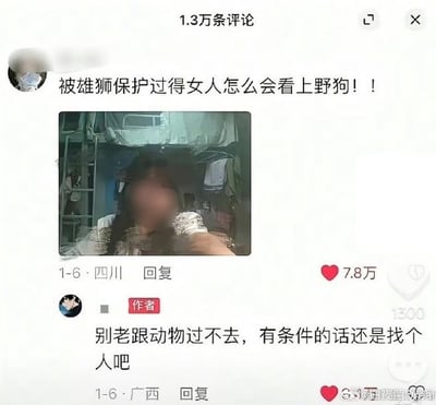 这是一张社交媒体评论区截图，顶部显示该内容共有1.3万条评论。首先是一位IP属地为四川的匿名网友发布评论，搭配一张人物面部打码的宿舍环境自拍，文案为“被雄狮保护过的女人怎么会看上野狗！！”，该评论获得7.8万点赞。随后IP属地为广西的内容作者回复这条评论，内容为“别老跟动物过不去，有条件的话还是找个人吧”，用反讽的方式调侃了前者将人类择偶用野生动物做比喻的离谱言论，笑点十足。