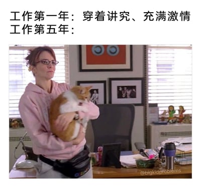 这张梗图通过对比职场人工作第一年和第五年的状态来制造笑点：工作第一年时穿着讲究、对工作充满激情；而工作第五年的状态则用美剧《我为喜剧狂》里莉兹·莱蒙的形象来展现——穿着宽松的粉色卫衣、搭配腰包，抱着一只橘白相间的猫，表情麻木疲惫，身处杂乱的办公室，精准还原了职场人在工作多年后，褪去精致和激情，变得随性、佛系，只追求舒适和自我慰藉的状态，引发广大职场人的共鸣。