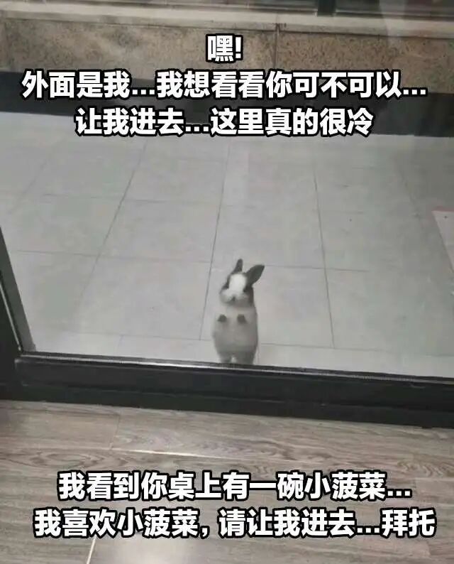 兔子