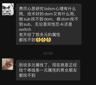 这是一张聊天记录截图，展示了两位用户关于BDSM关系困扰的对话。第一位用户使用愤怒表情头像，抱怨尽管研究BDSM心理、拥有良好技术，却无论作为dom还是sub都找不到合适的伴侣，即使具备双性恋、4i或switch等多元属性也无法找到匹配对象。第二位用户使用微笑猫头像回应，称别说多元属性，就连找个单线条一元属性的普通男女朋友都困难。整段对话充满了对情感关系的无奈和沮丧。