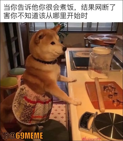 这张梗图上，一只柴犬穿着围裙站在厨房操作台前，脸上带着呆滞、懵圈的表情，似乎正准备做饭但完全无从下手。画面配有文字：“当你告诉他你很会煮饭，结果网断了害你不知道该从哪里开始时”，用幽默的方式表达了现代人过度依赖互联网查询生活技能，只会“云学习”却缺乏动手实践的困窘现状，氛围轻松搞笑，带有反差萌。梗图巧妙利用了柴犬拟人的表现手法，形成极强的共鸣。