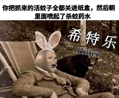 这是一张荒诞搞笑的恶搞P图，创作者将希特勒的户外躺坐老照片进行二次加工，把人物头部替换成蚊子的头部，还添加了兔耳朵发箍，同时搭配上方文字“你把抓来的活蚊子全都关进纸盒，然后朝里面喷起了杀蚊药水”，玩了谐音关联的梗，把消灭蚊子的行为和希特勒的历史形象结合，用反差感和荒诞感制造笑点，调侃夏天灭蚊的日常场景。