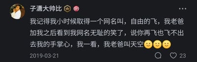这是一条发布于2019年3月21日的社交媒体动态，发布者昵称是“子潇大帅比”。动态内容为发布者以第一人称分享的童年趣事：小时候自己取了网名叫“自由的飞”，父亲添加自己为好友后，看到这个网名调侃道“你再飞也飞不出去我的手掌心”，发布者这时才发现父亲的网名叫“天空”，“自由的飞”的飞行空间正是天空，二者形成了巧妙的对应关系，充满了父子间温馨又搞笑的趣味互动。该动态收获了23个点赞，末尾还附带了三个微笑表情，传递出轻松愉快的氛围。