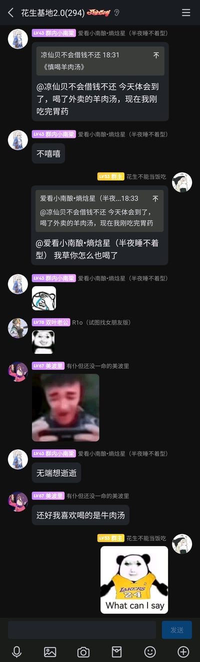 这是一张QQ群“花生基地2.0(294)”的聊天记录截图，群成员以“慎喝羊肉汤”为话题展开互动：用户“凉仙贝不会借钱不还”发出提醒后，用户“群内小南梁”表示自己饮用外卖羊肉汤后肠胃不适，刚吃完胃药；群主“花生不能当饭吃”对此感到惊讶，随后多位群成员通过发送各类网络表情包（包括熊猫头表情包、模糊真人梗图等）活跃氛围，用户“美波里”庆幸自己偏好牛肉汤，最后群主发送了带有湖人24号球衣的熊猫头表情包，整体呈现出轻松诙谐的日常群聊吐槽氛围。