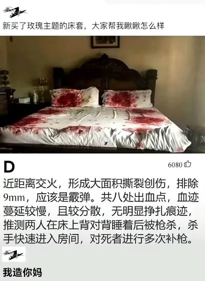 用户在社交平台发布了一张玫瑰主题床套的照片，配文询问大家床套的观感，结果有评论用专业的凶案法医分析语气，将床套上的红色玫瑰图案调侃成枪击后的血迹，详细“还原”出“凶案过程”，最后楼主无奈回复脏话吐槽，制造出荒诞搞笑的反差效果。
梗点说明：利用玫瑰床套的红色印花与血迹的视觉相似性，用严肃的凶案分析语气评论日常物品，形成强烈的反差幽默感。