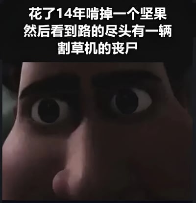 图片上半部分为黑色背景白色文字：“花了14年啃掉一个坚果 然后看到路的尽头有一辆割草机的丧尸”，下半部分是动画角色的面部特写，双眼瞪得极大，瞳孔放大，眼神中充满震惊与难以置信。文字内容构建了一个荒诞的剧情背景，与角色极度震惊的表情形成强烈对比，营造出幽默又略带无厘头的效果。