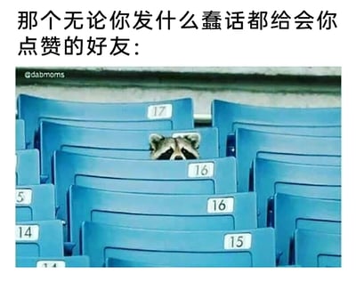 这是一张趣味梗图，上方配有文字“那个无论你发什么蠢话都给会你点赞的好友：”，下方是一张体育场的实拍照片，画面中是排列整齐的蓝色编号座椅，一只浣熊从编号16的座椅靠背后方探出头来，仅露出脑袋，眼神专注地望向前方。这张图用浣熊偷偷关注的形象，生动幽默地比喻那种无论你说什么内容，都会无条件支持你、给你点赞的好友，将好友默默支持的状态具象化，充满搞笑又温暖的氛围。