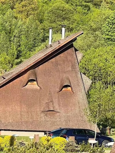 画面中是一座造型奇特的建筑，其三角形的屋顶被巧妙设计成一张人脸的模样：两侧各有一个类似眼睛的窗户，中间则有一道形似嘴巴的结构，搭配倾斜的屋顶线条，整体宛如一张凝视前方的面孔。建筑周围环绕着茂密的绿色树林，前方停着一辆蓝色汽车，底部还有修剪整齐的黄色灌木丛，营造出一种自然与创意建筑融合的有趣场景。