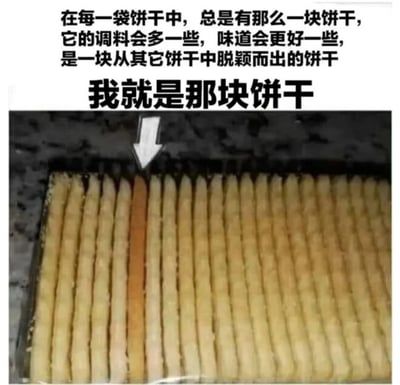 图片上方为黑色文字：'在每一袋饼干中，总是有那么一块饼干，它的调料会多一些，味道会更好一些，是一块从其它饼干中脱颖而出的饼干 我就是那块饼干'。下方是一张饼干棒的照片，多根浅黄色饼干棒整齐排列，其中一根颜色较深的饼干棒被白色箭头标注，整体通过饼干的比喻幽默地表达自己是群体中更优秀、突出的个体。