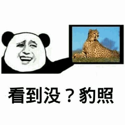 图片左侧是经典的熊猫头表情包角色，面部带着夸张的大笑表情，右眼微眯，嘴巴张开露出牙齿。它的右侧“手臂”伸出，手持一张照片，照片中是一只猎豹正卧在草地上，背景为蓝天和远山，猎豹姿态悠闲，目视远方。图片底部有一行黑色文字：“看到没？豹照”。
该图片使用了谐音梗：“豹照”（猎豹的照片）与网络流行词“爆照”（指发布自己的照片，通常带有展示的意味）发音相同，通过这种双关制造幽默效果。