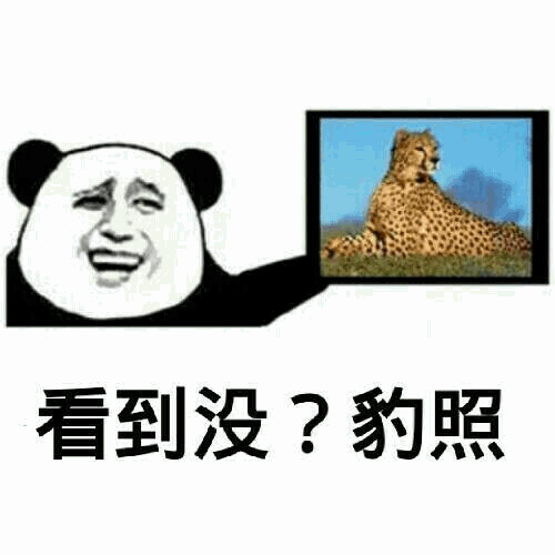 熊猫头展示猎豹照片：看到没？豹照