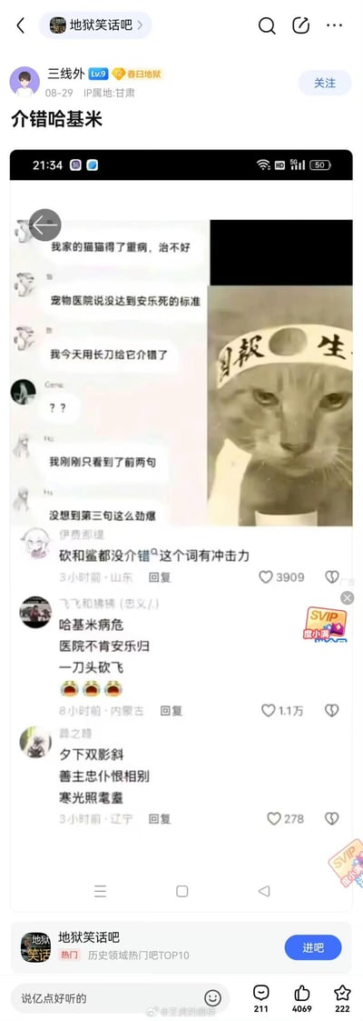 社交媒体用户“三线外”发布的帖子，内容为“我家的猫咪得了重病，治不好 宠物医院说没达到安乐死的标准 我今天用长刀给它介错了”，配图为一只戴着写有“生殺”字样头带的猫咪。下方评论区用户纷纷表示被第三句“介错”震惊，有人用诗句调侃“哈基米病危，医院不肯安乐归，一刀头欸飞”“善主忠仆恨恨别，寒光照猫盔”。通过将严肃的“介错”一词用于猫咪，制造出黑色幽默的效果。