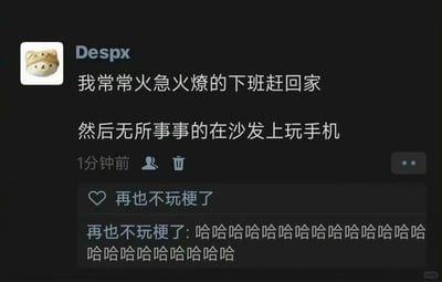 这是一张微信朋友圈的截图，用户Despx发布了一条动态，内容为“我常常火急火燎的下班赶回家，然后无所事事的在沙发上玩手机”，精准描述了当代许多打工人的下班现状：着急结束工作回家，到家后却没有明确的事情可做，只是无聊地玩手机。动态发布1分钟后，用户“再也不玩梗了”点赞并评论了一大串连续的“哈哈哈哈”，表现出对这条动态内容的强烈共鸣，认为其说出了自己的真实日常。图片右下角带有小红书的水印，说明该截图可能被分享至小红书平台。