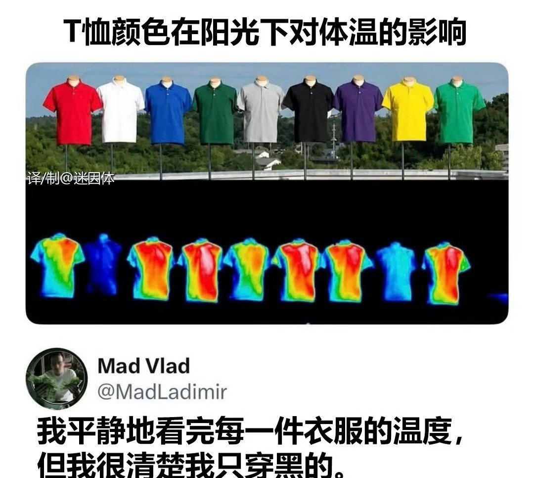 X平台创作者封面