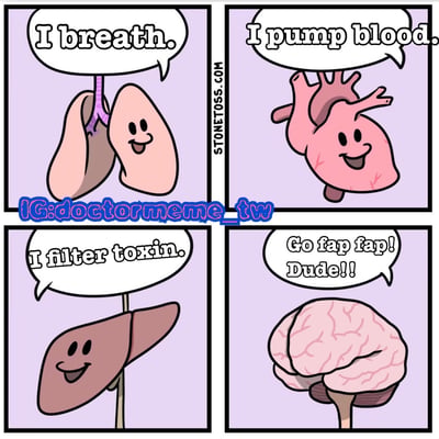 这是一张四格连环漫画，以拟人化的人体器官为主角，背景为淡紫色。左上格是微笑的肺，说“I breath.”；右上格是微笑的心脏，说“I pump blood.”；左下格是微笑的肝脏，说“I filter toxin.”；右下格是微笑的大脑，却说“Go fap fap! Dude!!”。通过其他器官陈述正常生理功能与大脑说出的俚语式指令形成反差，制造幽默效果。