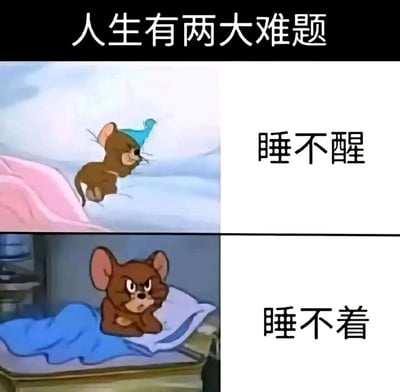 这是一张由《猫和老鼠》中杰瑞的两张动画截图拼接而成的上下对比梗图，顶部配有文字“人生有两大难题”。上方截图里，杰瑞戴着蓝色睡帽，一脸困倦地赖在粉色被窝里，旁边配文“睡不醒”，生动表现出起床困难、总睡不够的状态；下方截图里，杰瑞睁着眼睛，满脸烦躁地坐在床上，旁边配文“睡不着”，精准呈现出失眠时的焦虑与无奈。整张图用卡通角色的真实状态，调侃了当代人普遍面临的两种矛盾又扎心的睡眠困境，引发大众共鸣。