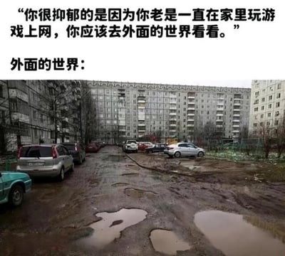 上方是他人的劝说文字：“你很抑郁的是因为你老是一直在家里玩游戏上网，你应该去外面的世界看看。”，下方搭配了一张萧条的居民区实拍图：泥泞的地面遍布水坑，老旧的居民楼显得毫无生机，周围的植被也干枯萧瑟。通过文字和画面的强烈反差，讽刺了“外面的世界更美好”的说法，精准戳中宅家、社恐人群的心声，表达了对出门的抗拒和对现实环境的失望，用幽默的方式传递出无奈的情绪。