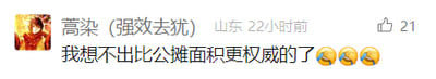 这是一张社交媒体平台的用户评论截图，界面显示用户“高染（强效去犹）”在山东发布了这条评论，发布时间标注为22小时前，评论内容为“我想不出比公摊面积更权威的了”，并搭配三个尴尬的流汗表情，该评论获得了21次点赞。截图左上角带有用户的个人头像，整体是典型的社交媒体评论区界面，排版清晰，通过文字和表情传递出用户对公摊面积这一房产领域热点话题的调侃与无奈情绪。