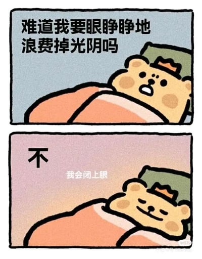 这是一幅由上下两格组成的卡通连环图，主角是一只戴着迷你皇冠、裹着橙色被子的可爱卡通小熊。上格画面中，小熊躺在床上睁着眼睛，表情带着纠结与故作严肃，配文“难道我要眼睁睁地浪费掉光阴吗”，营造出一种对虚度时光的“深刻反思”氛围；下格画面中，小熊闭上眼睛，面带满足的微笑，配文“不 我会闭上眼”，用一种荒诞又搞笑的歪解方式，将“不浪费光阴”的正向概念曲解为闭眼睡觉，通过强烈的对话反差感，精准戳中当代年轻人想躺平、逃避现实压力、用摸鱼式睡觉来“规避”浪费光阴的心态，整体风格轻松治愈又充满幽默笑点。