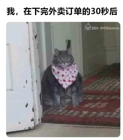 这是一张贴近日常的搞笑梗图，图片上方配有文字“我，在下完外卖订单的30秒后”，图中主体是一只戴着带红色花纹白色三角巾的灰色猫咪，它端正地坐在门边的花纹地毯上，眼神直勾勾地看向镜头，神态带着明显的急切与期待，将人们在点完外卖后立刻守在门口等待的焦急又充满期待的心情，通过猫咪的可爱形象拟人化地展现出来，精准戳中很多人点外卖后的真实状态，引发共鸣，整体风格轻松有趣，充满生活气息。