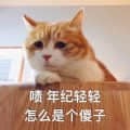 年纪轻轻怎么是个胖子的猫咪