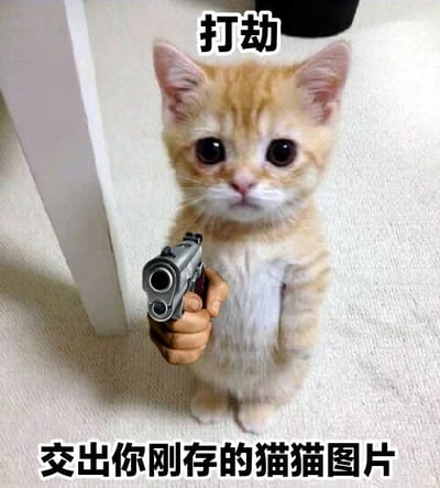 图片中一只站立的橘色小猫，前爪握着一把左轮手枪，表情呆萌。图片上方有文字“打劫”，下方有文字“交出你刚存的猫猫图片”，通过猫咪持枪打劫的反差萌，幽默地表达了向他人索要猫咪图片的趣味场景。