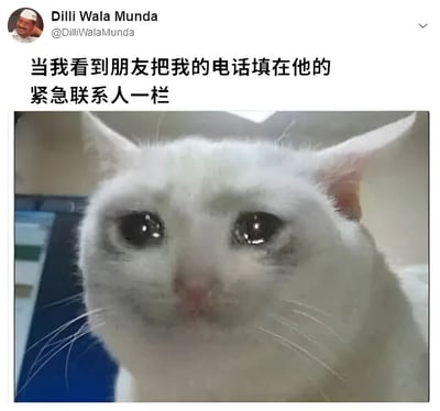 这是一张社交媒体梗图，上方是用户Dilli Wala Munda的推文文字：'当我看到朋友把我的电话填在他的紧急联系人一栏'，下方配有一张白色猫咪的特写照片。猫咪有着又大又亮的眼睛，眼神中似乎带着湿润，流露出感动又略带无奈的情绪，形象地表达了被朋友信任设为紧急联系人时的复杂心情。