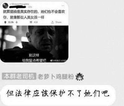 这是一组拼接而成的搞笑梗图，先是Reddit社区的扎心发言“就算猫娘是真实存在的，她们也不会喜欢你，就像那些人类女孩一样”，配上电影《我是传奇》里威尔·史密斯饰演角色的痛苦恳求表情包，配文“别这样 给我留点希望吧”，传递出被打击后的绝望情绪；随后国内群聊的用户补刀“但法律应该保护不了她们吧”，形成层层递进的扎心搞笑效果，没有双关或谐音梗，核心是针对二次元爱好者的连续吐槽。
