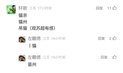 这是一张社交媒体评论区的截图，来自江苏地区的用户“轩歌”首先发布了三条以“猫”为核心的谐音梗内容，将南京谐音为“猫京”，苏州谐音为“猫州”，方言词汇谐音为“吊猫”并标注“观苏超有感”；随后同是江苏地区的用户“左覷偲”跟进发布了“丨猫”“苗州”的谐音梗内容，这些评论都是利用汉字谐音，替换原词汇中的字为“猫”相关的字，创作趣味玩梗内容，两条评论分别获得了11个和2+1个点赞，是用户间的互动式玩梗。