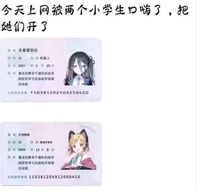 图片上方配有文字“今天上网被两个小学生口嗨了，把她们开了”，下方拼接两张虚构的ID卡图片。第一张ID卡显示角色“天童爱丽丝”，标注性别女、种族机器人，出生日期2021年3月25日，工作单位为“基沃托斯市千禧年科技学院研究学习区游戏开发部活动室”，公民身份号码110381202103250420；第二张ID卡为角色“才羽琉井”，性别女、种族猫耳开部，出生日期2009年12月8日，工作单位同上，公民身份号码110381200912080420。整体通过虚构的“开除小学生”场景与荒诞的ID卡信息，营造幽默夸张的网络吐槽效果。