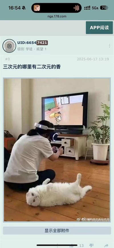 论坛用户分享的生活场景：一个人戴着VR头显正专注地玩着电视上显示的二次元风格游戏，屏幕里有个黄色卡通角色手持网球拍。地板上一只白猫四脚朝天惬意地躺着，形成了有趣的对比。配文"三次元的哪里有二次元的香"幽默地表达了对二次元文化的喜爱。