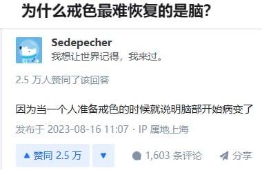 图片为社交媒体评论截图，顶部标题为“为什么戒色最难恢复的是脑？”，下方显示用户“Sedepecher”的评论“我想让世界记得，我来过。”获得2.5万人赞同。评论下方有一条回复：“因为当一个人准备戒色的时候就说明脑部开始病变了”，发布于2023-08-16 11:07，IP属地上海，获得2.5万赞同和1,603条评论。