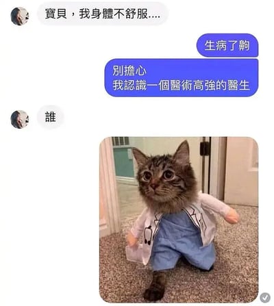 這張圖片是一組對話截圖與搞笑貓咪照片的組合。女生抱怨身體不舒服，男生安慰說認識一個醫術高強的醫生，然後發出一張穿醫生服裝的可愛貓咪照片。整體氛圍輕鬆幽默，充分展現「貓咪裝扮」的反差感和可愛帶來的喜劇感。圖中沒有嚴格的雙關語，但有一種“可愛反差”的梗味，引發觀者會心一笑。