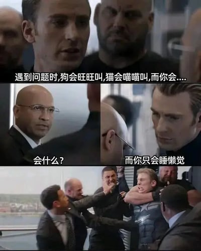 该梗图由三帧漫威电影截图拼接而成，通过文字对话形成幽默对比。第一帧中一群严肃的男性角色注视前方，配文“遇到问题时,狗会汪汪叫,猫会喵喵叫,而你会....”；第二帧分为左右两部分，左侧戴眼镜男性角色问“会什么？”，右侧美国队长表情严肃，配文“而你只会睡懒觉”；第三帧则是激烈的打斗场景，多个角色纠缠在一起。整体通过动物遇到问题的本能反应与“你”遇到问题只会睡懒觉的行为形成反差萌，达到搞笑调侃的效果。